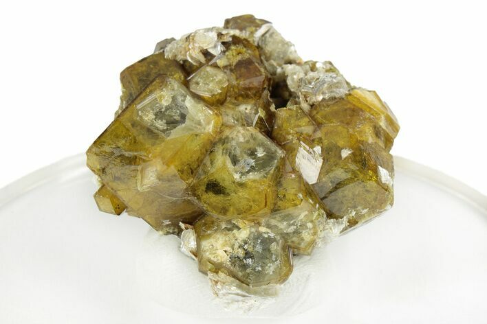 Yellow Andradite-Grossular Garnet Cluster with Clinochlore - Mali #245223